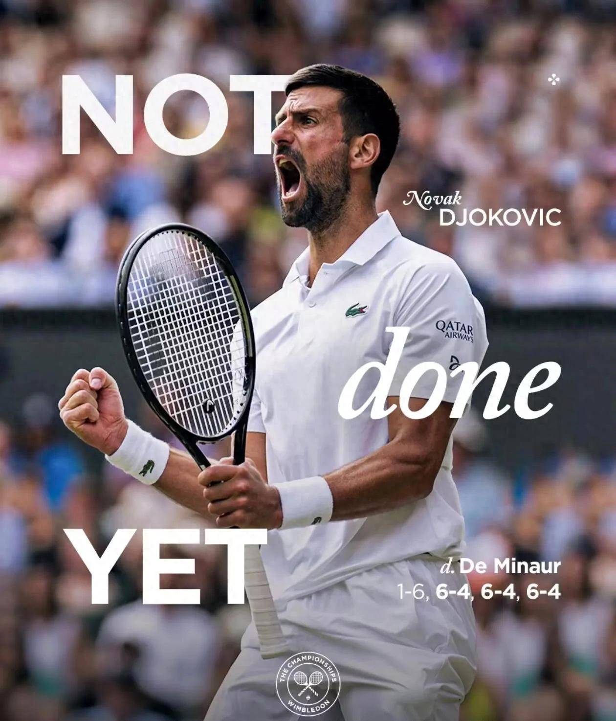 AYX-关于德约科维奇在日本队比赛中势不可挡，关键助攻引发热议！的信息